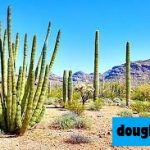12 Taman dan Monumen Nasional Terbaik di Arizona