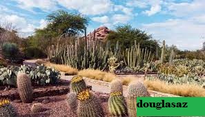 Kebun Binatang dan Taman Margasatwa Terbaik di Arizona